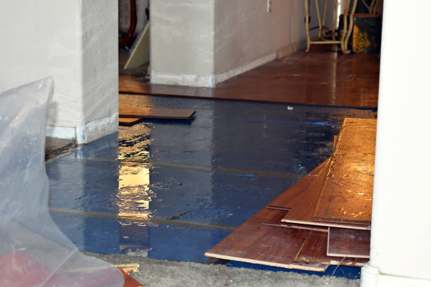 Professional Basement Water Removal technician working in Kaleva, MI