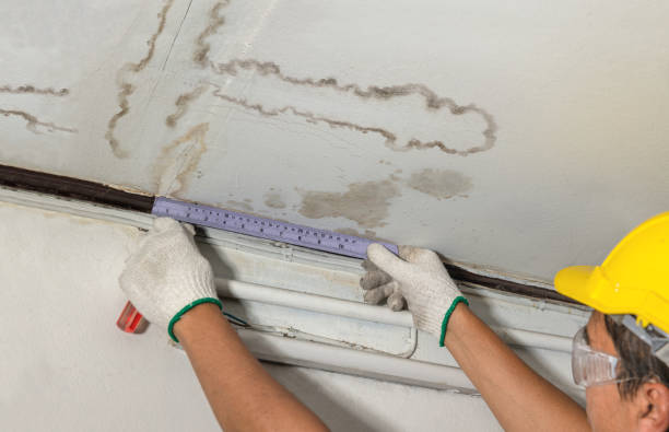 Reliable Basement Water Removal contractor in Kaleva, MI by Water Damage Irwin